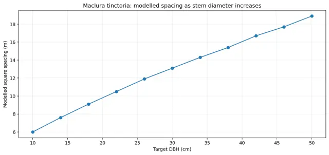 Chart showing recommended Maclura tinctoria spacing as target trunk diameter increases