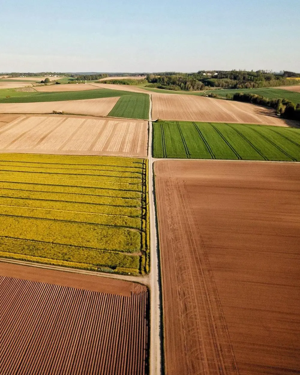 Aerial view of farmland divided into strips of green crops, yellow flowering fields and ploughed soil
