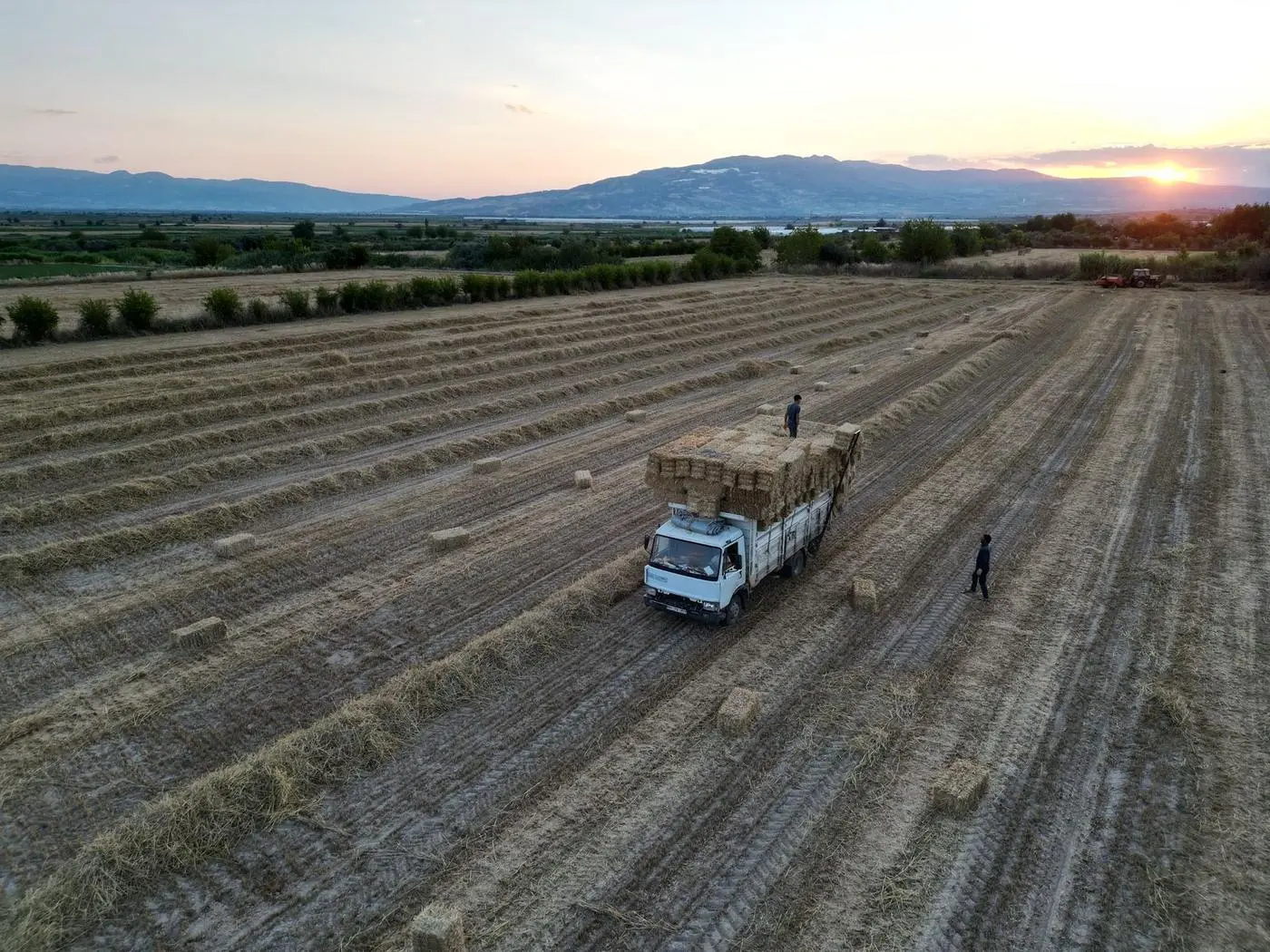 Truck loaded with straw bales on a harvested field at sunset, with mountains behind